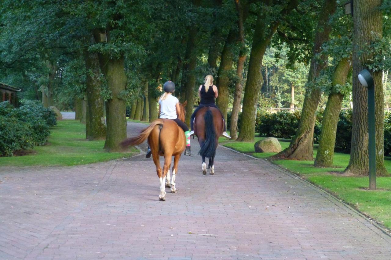 Grosse Ferienwohnung, Auf Bauernhof Mit Ponys Und Pferden, Laendlich Und Ruhig, Naehe Duemmer See Holdorf エクステリア 写真